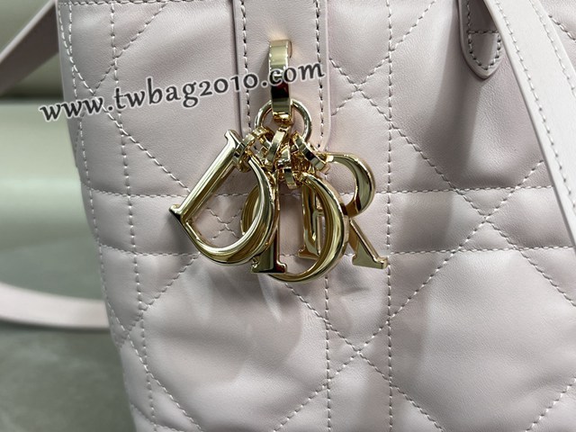Dior专柜2025新款迪奥高仿原单Toujours竖版手袋牛皮休闲手提女包 djfk1301